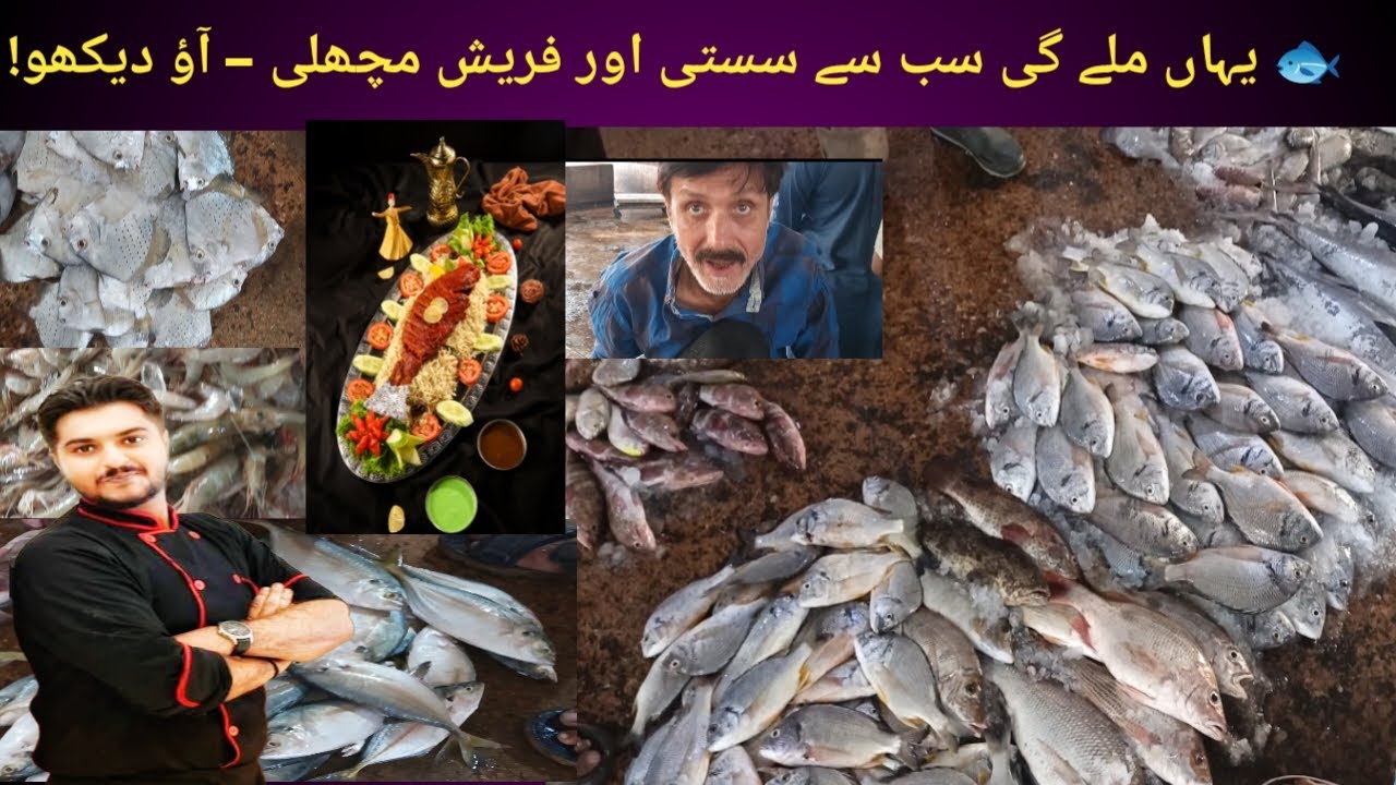 Biggest Fresh Fish Market in Karachi | Fresh Prawns, King Fish, Salmon Fish Cat fish.