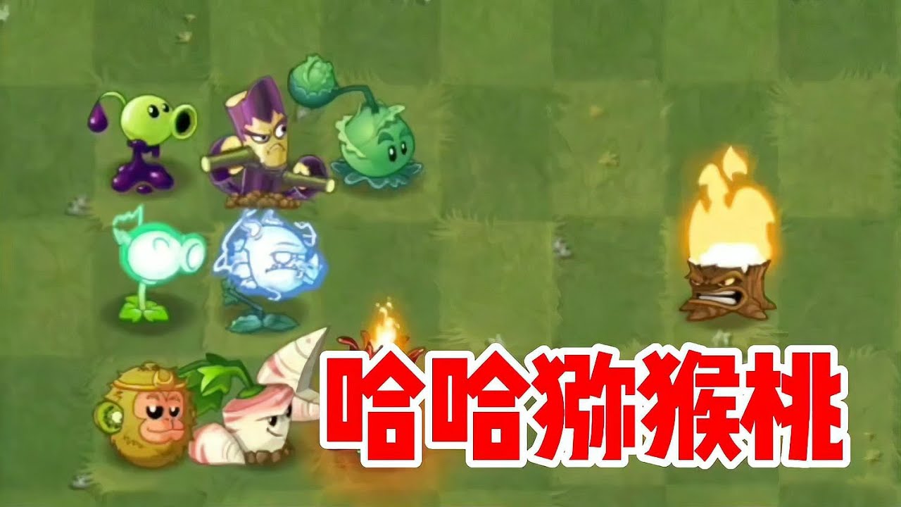 植物大战僵尸：不是吧？雷龙草和电能豌豆咋突然变强了呢！ #植物大战僵尸 #PVZ #杂交版 #PVZ杂交版 #游戏解说