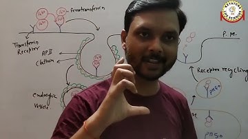 Receptor Mediated Endocytosis of Iron By Dr. Aditya Sharma CSIR-JRF PHD For CSIR-NET ICMR-JRF DBT