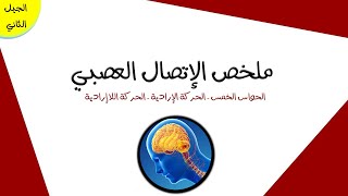 ملخص الإتصال العصبي | علوم طبيعية 4 متوسط
