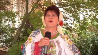 Ionica Stan - Vreau sa petreceti cu mine