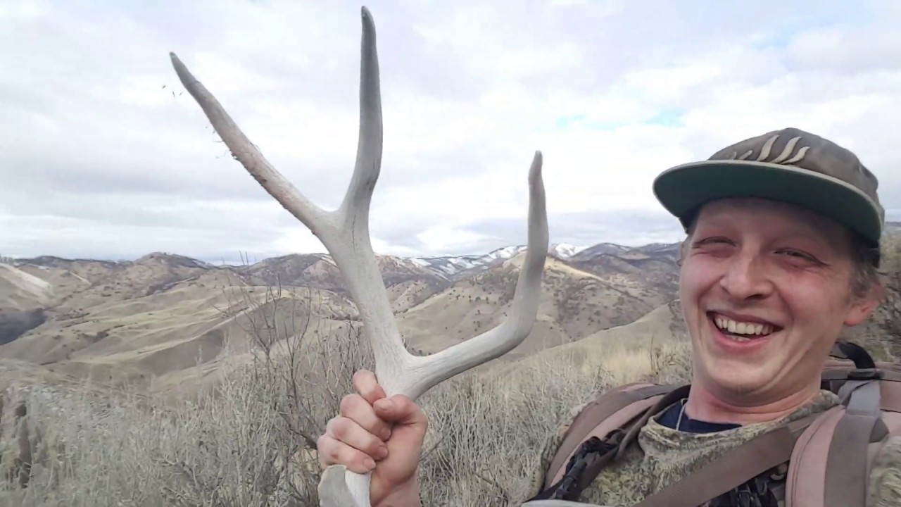 OREGON ELK SHEDS 2019 YouTube