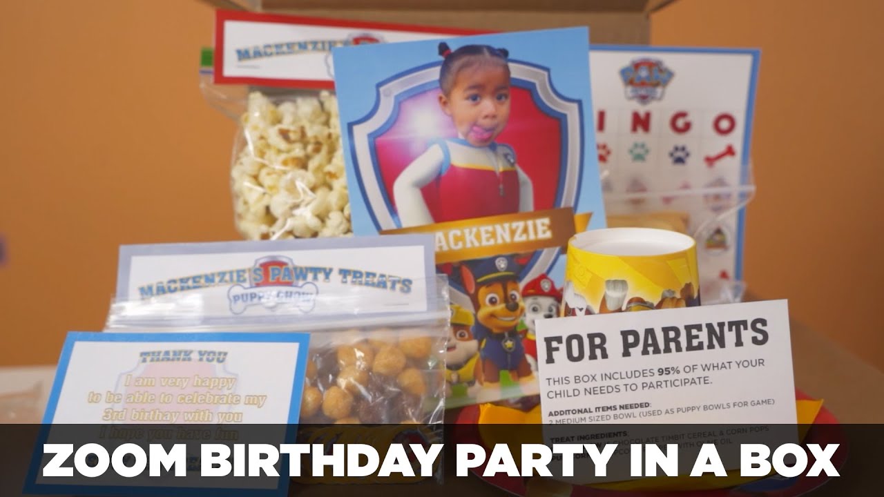 ZOOM BIRTHDAY PARTY IDEAS FOR KIDS DIY PARTY IN A BOX PARTY UNDER