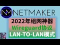 免费开源的组网神器NetMaker，wireguard协议LAN to LAN对等网络