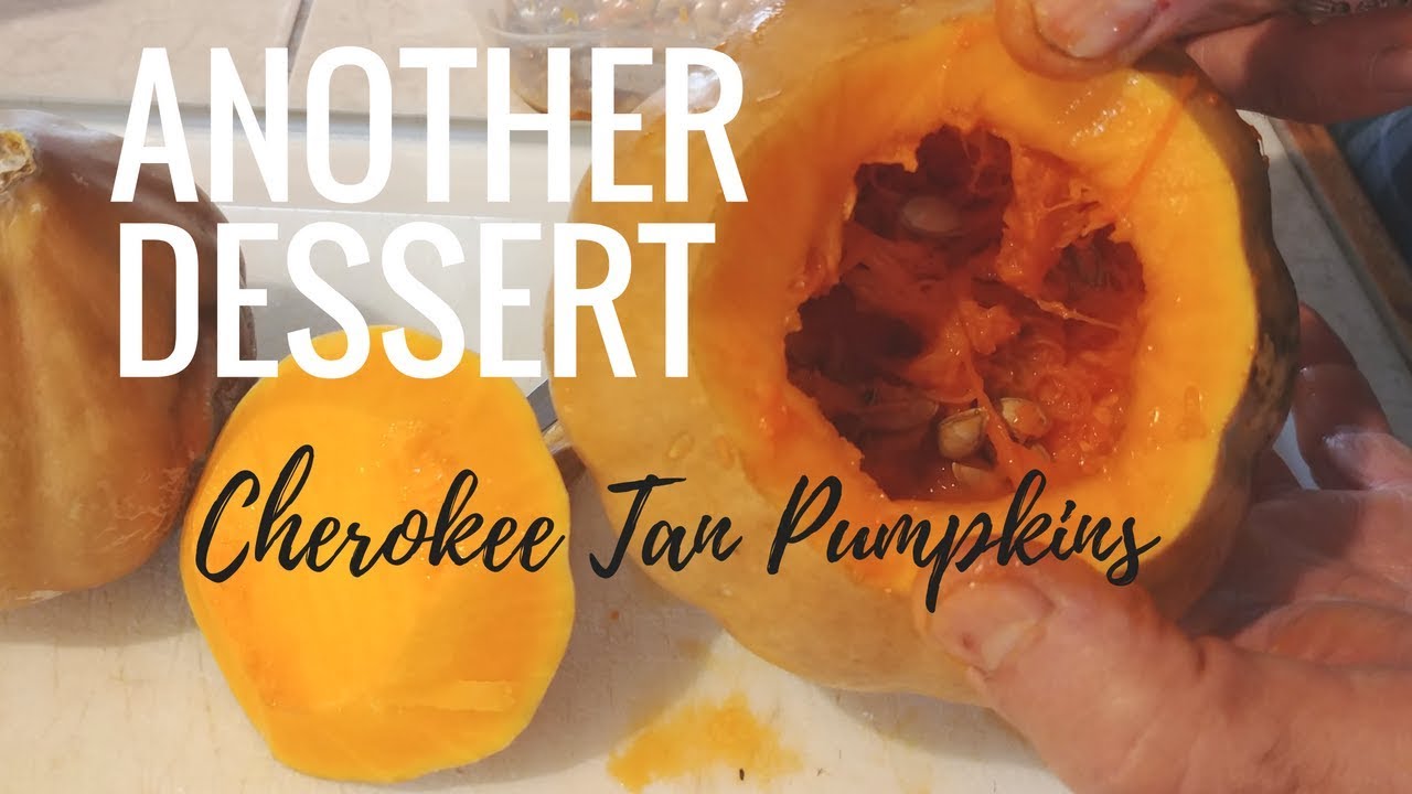 Another Cherokee Tan Pumpkin Dessert YouTube