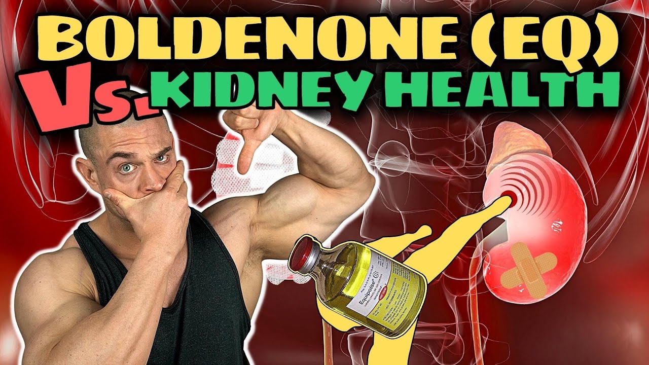 Does BOLDENONE Really Melt Your KIDNEYS? | Human Studies DEEP-DIVE | Evidence-Based Nephrotoxicity!