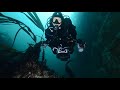 Scuba diving in Saltstraumen - the worlds strongest tidal current