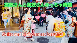芸鼓さんと舞妓さんめっちゃ綺麗 🥰👘Maiko Geiko #maiko #geiko