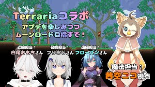 【ケモノ系VTuber】役割分担なテラリアコラボ #7【Terraria】