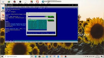 TUTORIAL PASCAL PROGRAM FOR DAN FUNCTION || STATISTIKA UNIMUS
