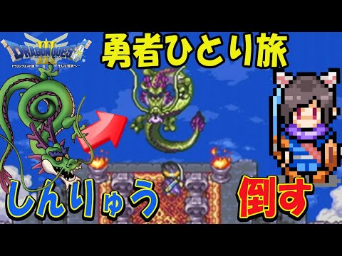 ドラクエ3 主人公 レア 9 ドラクエ3 遂に勇者1人でしんりゅうを倒す日が来た! SFC版