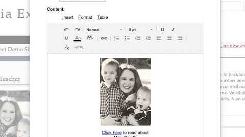 Image and Alt Text Using Google Sites