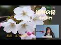 朗読日和　画像つき「染井の桜」　木内 昇作　朗読　北代麻里子