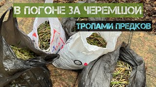 В ГОРЫ ЗА ЧЕРЕМШОЙ. ВЕРСИЯ 3