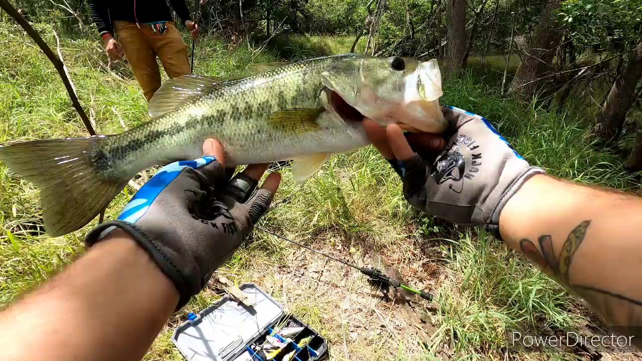 San Antonio fishing / 1v1 Bass competition YouTube