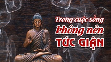 Cách Kiềm Chế Và Chuyển Hóa Tức Giận I Cái Giá Của Sự Tức Giận I Sống Không Giận Dữ I Lời Phật Dạy