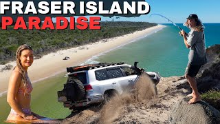 FRASER ISLAND MADNESS! CATCHING HUGE TUNA 50m off the beach & BEST beach camp in Aus? 4x4 & fishing