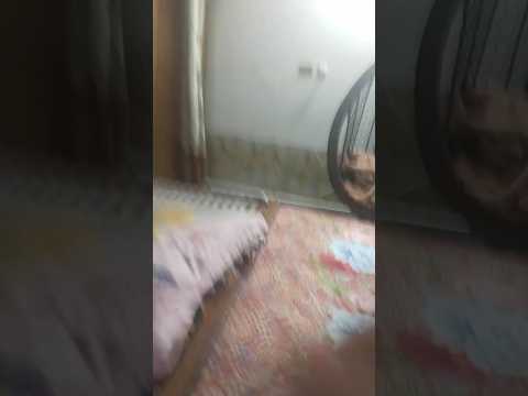 video Nahin banata // Akela Munda ka papa video nahin banata