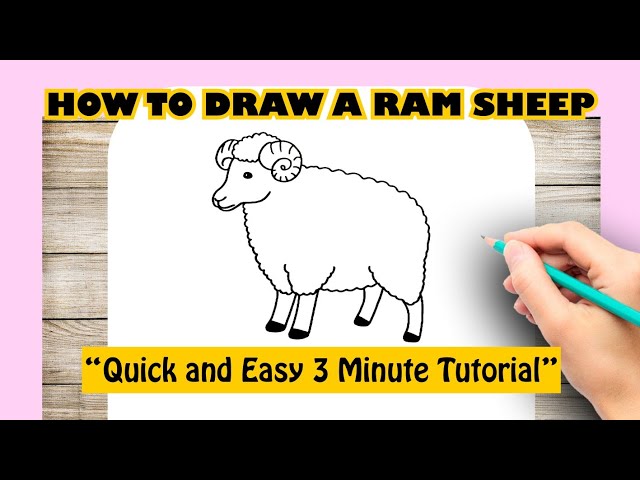 easy to draw ram - Clip Art Library