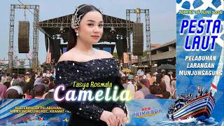 Download lagu CAMELIA - TASYA ROSMALA 'NEW PRIMAEGA' || PESTA LAUT MUNJUNG AGUNG LARANGAN, KRAMAT-TEGAL