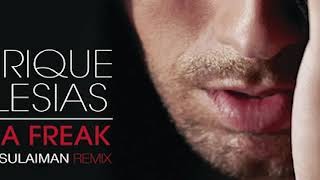 Enrique Iglesias - Im A Freak Salim Suleiman Remix Instrumental