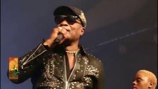 Koffi Olomide performs Effrakata   Live at The Koroga Festival