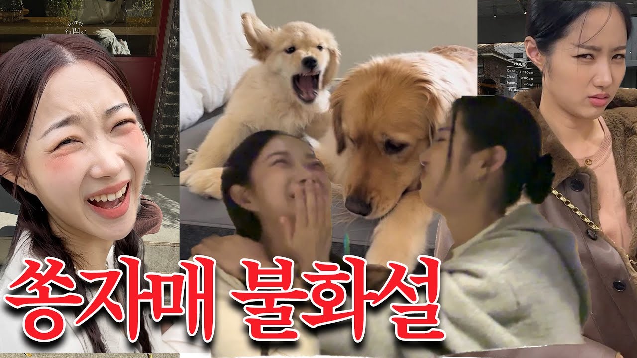 사이좋은 쏭자매 드디어 불화설🤬 먹고 쇼핑하는 10월 브이로그