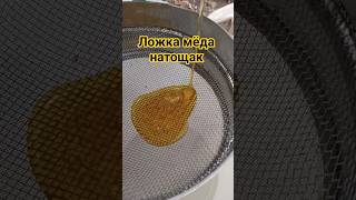Что Вы получите через месяц - Употребляя одну Ложку мёда  натощак .