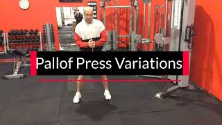 4 Ways To Use The Pallof Press To Improve Core Stability by Noregretspt 708 views 1 year ago 7 minutes, 24 seconds