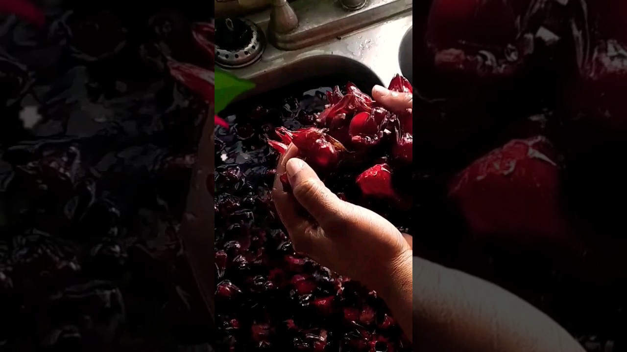 Rich 🇯🇲 Sorrel 