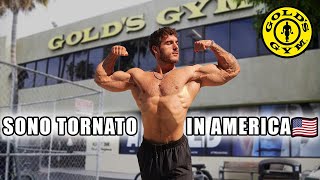 SONO TORNATO IN AMERICA! - ALLENAMENTO IN GOLD'S GYM VENICE BEACH