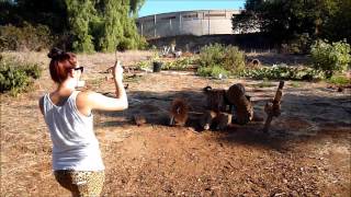 Girls Throwing Knives - Epic Blade Time
