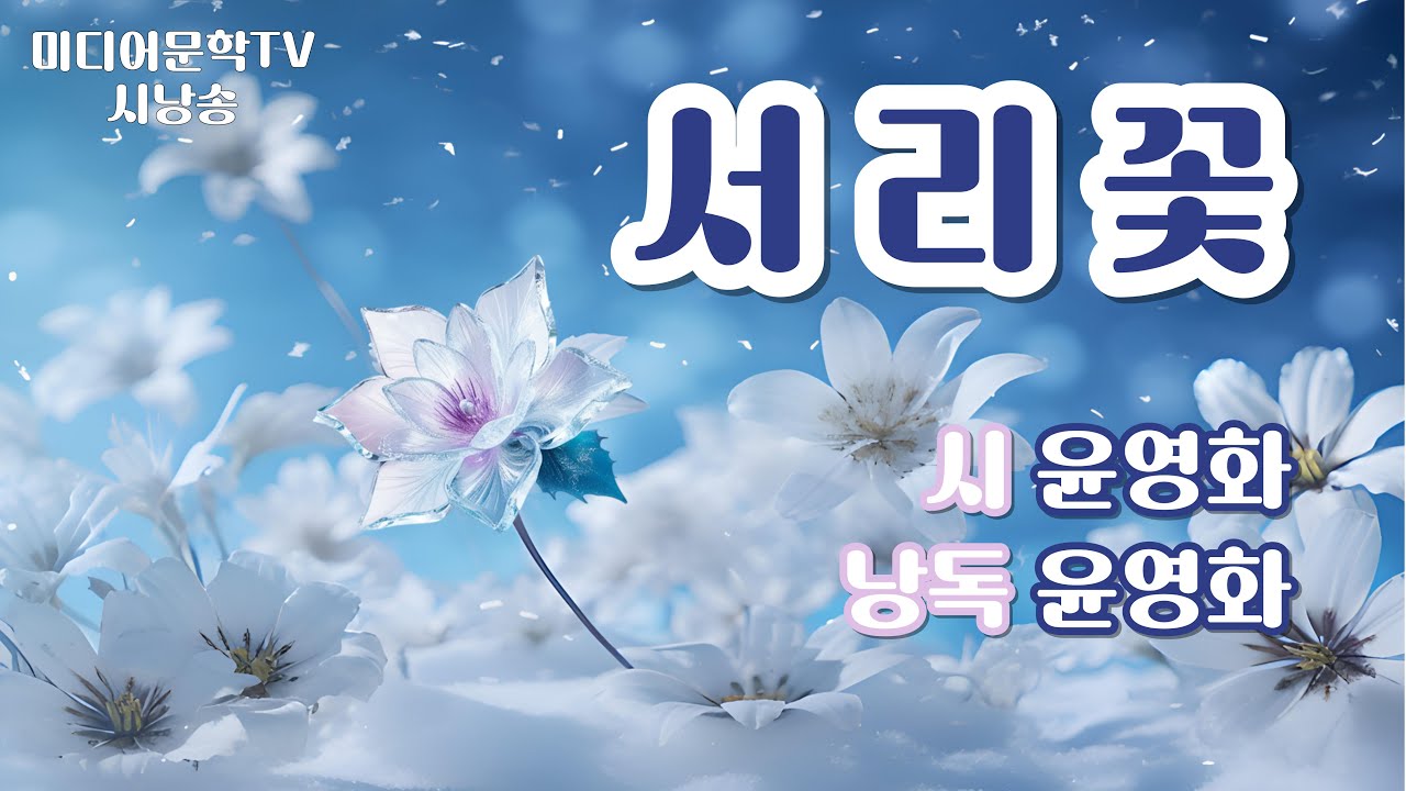 [시낭송] 서리꽃(시 윤영화, 낭독 윤영화) #윤영화 #청청학당 #아트홀청청 #서리꽃 #겨레시 #시조 #미디어문학TV