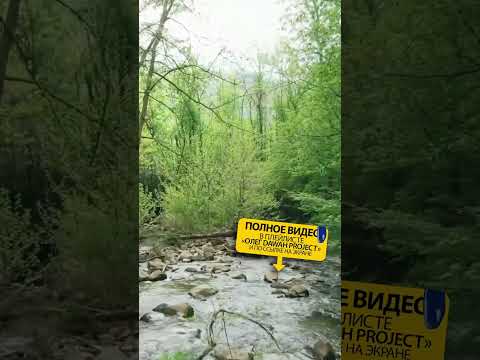 Предсмертные слова русского мусульманина. Напоминание верующим и христианам | Олег Dawah Project