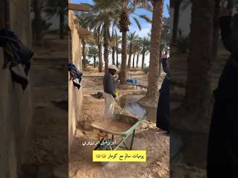 كومار هذا قرقر زياده مخ مافيه