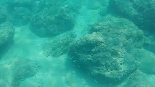 Snorkeling mermedi beach Antalya