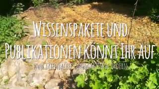 Mienbacher Waldgarten, Mai Führung, 4. Teil Waldgarten