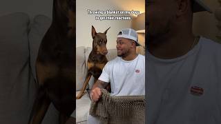 Canโt trust that second one ๐ค ๐คฃ #shorts #reels #suavexavier #pets #country Net Worth