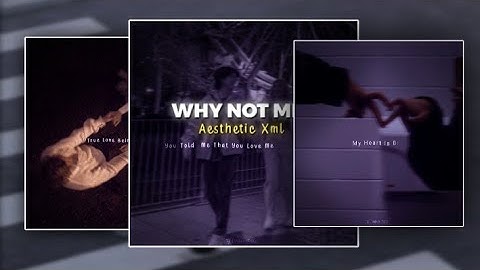 WHY NOT ME 🎵 PRESET ALIGHT MOTION XML AESTHETIC 📌 PRESET ALIGHT MOTION XML IN DESCRIPTION 🐼