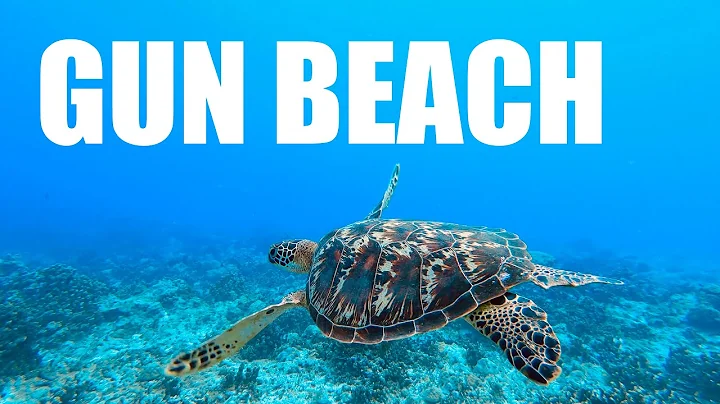Diving And Snorkeling At Gun Beach Guam With Octopuses And Sea Turtles In 4k!