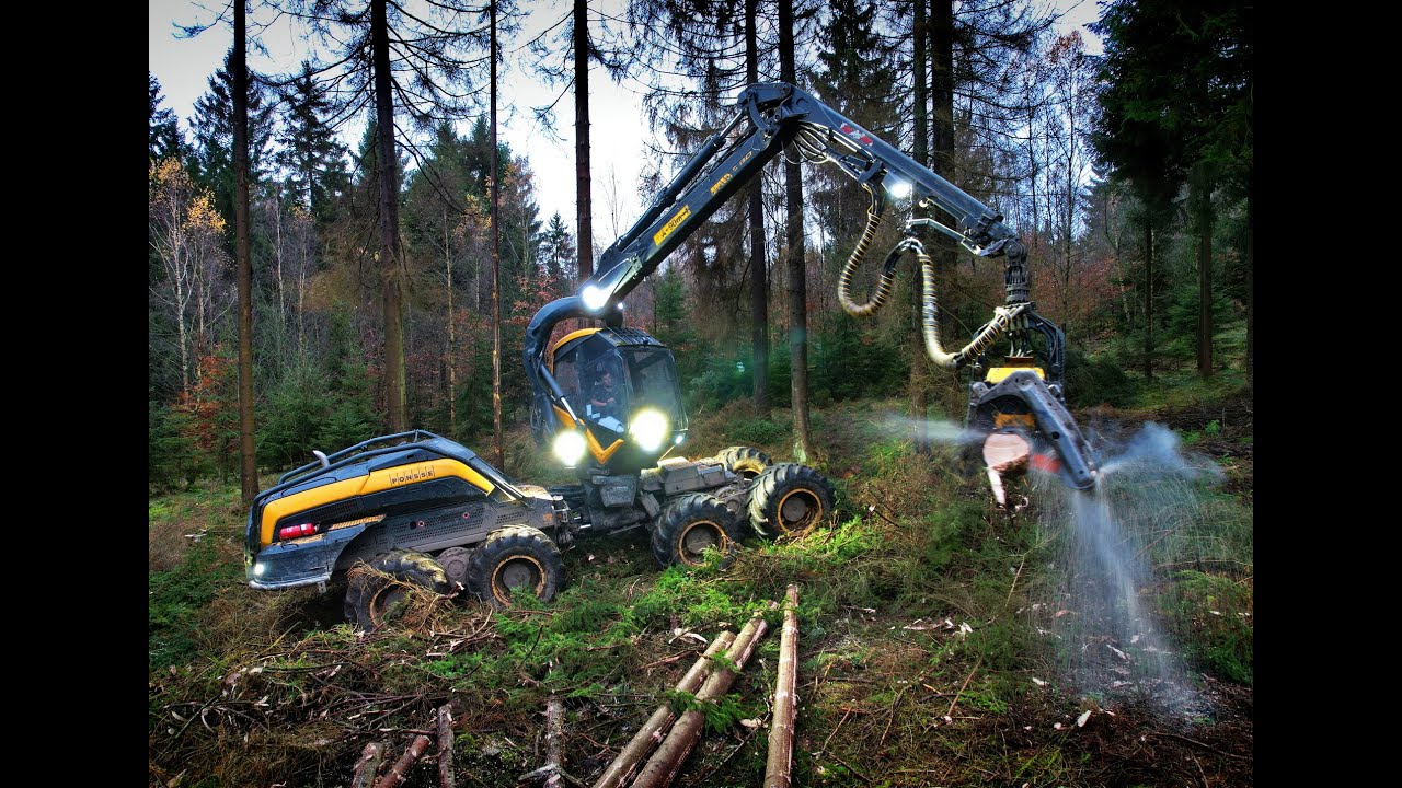 🌲4K| Ponsse ScorpionKing & Vorfäller • Big trees vs. Harvester • Forestwork • Ponsse Logging🌲