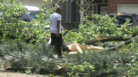 Power lines, trees knocked down as storms move across the state