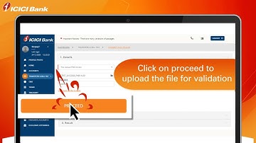 Payment File Upload in BizPay 360