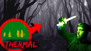 WE SHOULD NOT HAVE GONE TO HOIA BACIU (MOST HAUNTED FOREST)