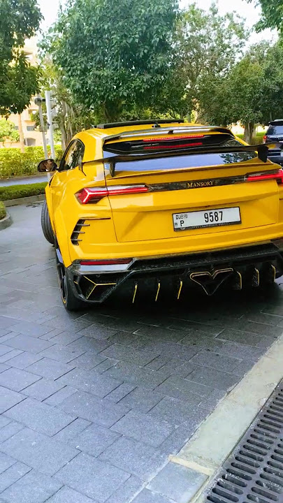 🔥🔥This is crazy Lamborghini urus by mansory #usa #youtubeshorts #viralvideo #viral #urus