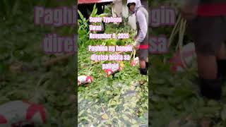 Super Typhoon Uwan #supertyphoon #uwan #disaster #flood #shorts #fypシ #shortvideo #typhoon