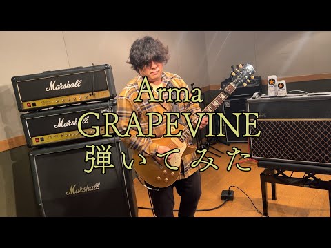 Arma/GRAPEVINE【Guitar Cover】