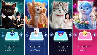 Cute Cats Dance | Wednesday Bloody Mary | Shakira Waka Waka | Jisoo Flower | Elsa Enemy | Music Game