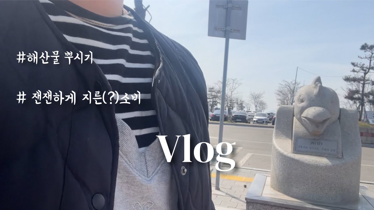 vlog|잰잰하게 지른 소비,해산물 먹고 평범하게 보낸 직장인의 일상