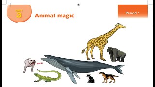 درس Animal magic+ حل التدريبات| الصف السابع| اللغة الانجليزية |الوحدة الثالثة|الدرس (1-8)